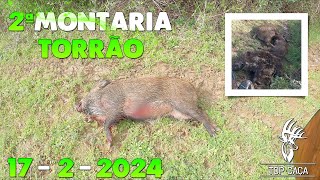 2ª MONTARIA TORRÃO 1722024 [upl. by Ennirroc256]