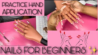 Acrylic Nails For The 1st Time✨  Practice hand Nails for beginner Acrylic powder [upl. by Oned]