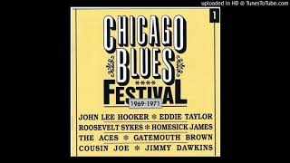 Chicago Blues Festival 196971  Levee Blues  Cousin Joe [upl. by Schecter]