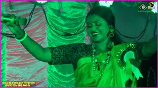 fansan songs Hindi  9800844996  All Song  All In One  Stage Show  dj bapi  baulsongsshortss [upl. by Aicilaf640]