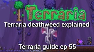 terraia deathweed explained terraria guide ep 55 [upl. by Nilatak]