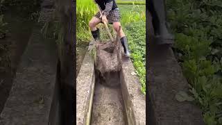 Soil clearing process for water channel [upl. by Onileva]