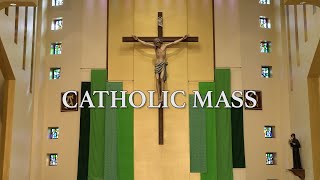 Roman Catholic Mass for November 3rd 2024 Thirtyfirst Sunday in Ordinary Time [upl. by Damarra838]