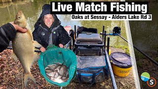 Live Match Fishing  The Oaks at Sessay Alders Lake Rd 3 [upl. by Dick]