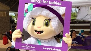 Mundo Lanugo marcha por los bebés en la caminata de March of Dimes [upl. by Ardene]