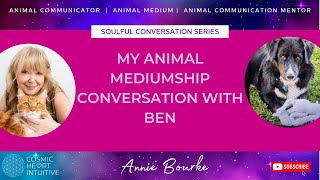 Soulful Conversations Series Animal Mediumship Conversation with Ben [upl. by Anelliw]