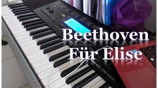 Für Elise  Beethoven Por Elise Teclado Casio CTK 4400 [upl. by Aham224]