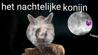 Het nachtelijk konijn 3 trailer [upl. by Gracye852]