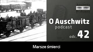 quotO Auschwitzquot odc 42 Marsze śmierci z Auschwitz do Wodzisławia Śląskiego i Gliwic [upl. by Gretal278]