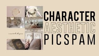 Character Aesthetic Picspam Tutorial [upl. by Harlene]