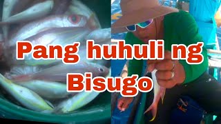 Isdang Bisugo  Pang huhuli fishing fishing fishingvideo viralvideo fish [upl. by Annotahs]