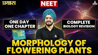 MORPHOLOGY OF FLOWERING PLANTS  NEET 2024  ONE DAY ONE CHAPTER  COMPLETE BIOLOGY REVISION [upl. by Danyette343]