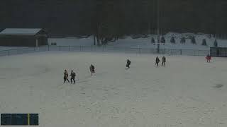 Genesee CC vs Wells College Womens Varsity Lacrosse [upl. by Wolgast]