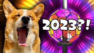 Best Talking Dog Videos of 2022 [upl. by Hartill684]