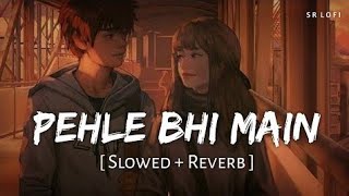 Pehle Bhi Main Slowed  Reverb  Vishal Mishra  Animal  Abbas Arzoo [upl. by Abigail]