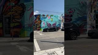 Wynwood Walls art work in Miami Florida ✨ wynwoodwalls artmiamistreetview sunnyday [upl. by Reizarf]