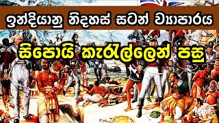 Grade 9 History  Lesson 4 Part 3  ඉන්දියානු නිදහස් සටන් ව්‍යාපාරය  සිපොයි කැරැල්ලෙන් පසු [upl. by Nner]