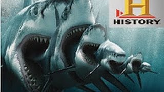 EL MEGALODON DOCUMENTAL HISTORY [upl. by Fesoy]