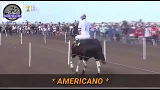 Carreras de Américano el mejor caballo de la Argentina [upl. by Huntlee585]