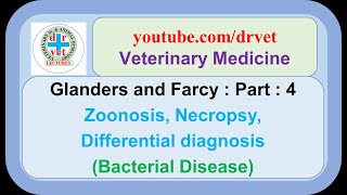 Glanders Part 4  zoonosis necropsy differential diagnosis [upl. by Isus]