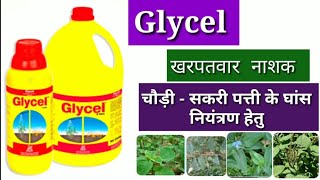 Glycel Herbicide  Excel crop care Glycel herbicide [upl. by Haeluj]