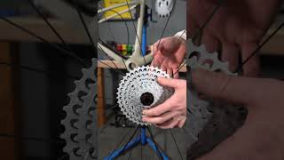 Crafting a Gravel Masterpiece Enve MOG  Campagnolo Ekar 13 Speed  ENVE Dropper Post [upl. by Roach472]