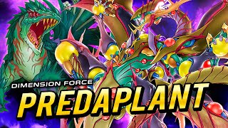 Deck PREDAPLANT  Análisis 📈  Post DIMENSION FORCE 🌠 [upl. by Sapienza]