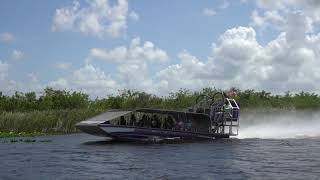 Everglades Airboat Tour  Airboat with Alligator Trying to Catch a Ride at Everglades Holiday Park [upl. by Aicile]