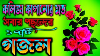 কলিজা কাপানোর মত  সবার পছন্দের১৭ঠি গজল বাংলা গজল নতুনগজল  New islamic viral gojolsGozal [upl. by Nahtanod]