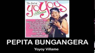 Yoyoy Villame Pepita Bungangera with lyrics [upl. by Liagibba]