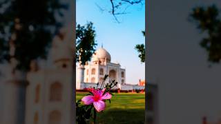 Taj Mahal Agra [upl. by Nnaillij]