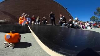 360 Video The Great Pumpkin Race [upl. by Nivrem]