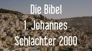 1 Johannes  Die Bibel als Hörbuch Schlachter 2000 [upl. by Justus]