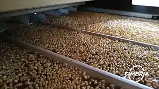 Cimbria Seed Processing line Advance Seed Serbia [upl. by Zellner]