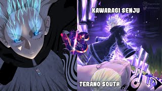 KAWARAGI SENJU VS TERANO SOUTH  TOKYO REVENGERS CHAPTER 229 [upl. by Jorrie]