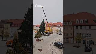 🎄✨ Der Weißenfelser Weihnachtsbaum steht [upl. by Domenic]