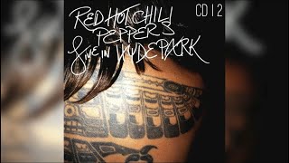 LEVERAGE OF SPACE  Red Hot Chili Peppers  Guitar Backing Track  Hyde Park 2004 [upl. by Montfort]