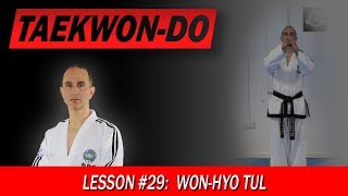 WonHyo Tul  TaekwonDo Lesson 29 [upl. by Ellierim]