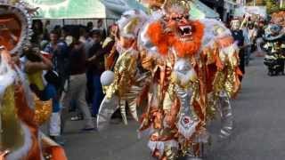 Constanza Carnaval 2014 [upl. by Nimajneb593]