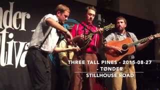 Three Tall Pines  20150828  Tønder  Stillhouse Road [upl. by Ayvid]