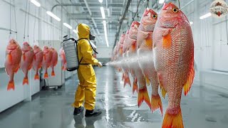 Why Red Snapper Fish are So Expensive  Modern Fish Farming Technology [upl. by Mosa880]