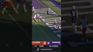 Reggie Love III Puts Illinois on the Board First at Northwestern  Illinois Football [upl. by Vladamir546]