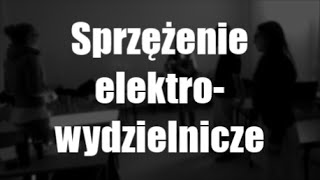 Sprzężenie elektrowydzielnicze [upl. by Ennairej]