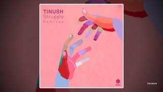 Tinush  Struggle Franky Rizardo Acid Mix [upl. by Donelson]