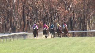 Stanthorpe 20241019 Race 1 [upl. by Leod529]