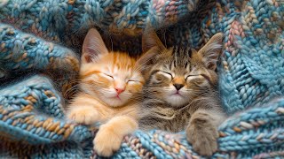 Best Lullaby Music for Cats  12 Hours of Music that Cats Like Cats Love Music  Sleepy Cat💤 [upl. by Amirak]