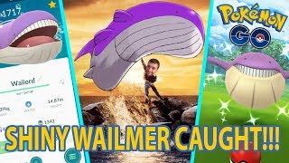 SHINY WAILMER CAUGHT AND EVOLVED IN POKEMON GO [upl. by Peg]