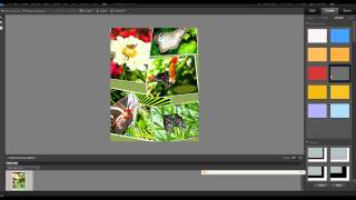 Photoshop Elements Photo Collage in Elements 9 [upl. by Dlaner]