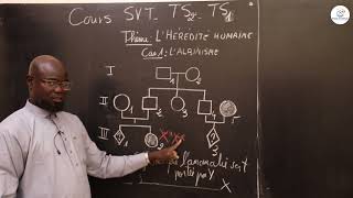 Cours  Terminale S1ampS2  SVT Résumé de cours  Lhérédité humaine  LAlbinisme  Suite 2 [upl. by Convery447]