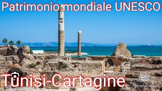 TunisiaCartagine era una cittàstato feniciacosa sapere e come visitarla benecosto del biglietto [upl. by Cherri]